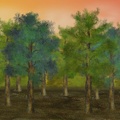 Lektion 02 – Bäume – Kiefern