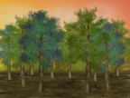 Lektion 02 – Bäume – Kiefern