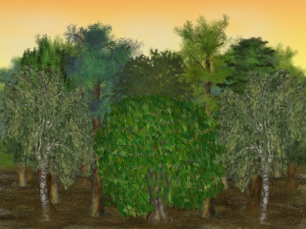 Lektion 02 – Bäume – Weide und Birke