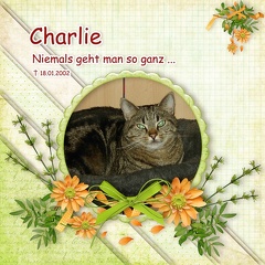 Charlie - Template Challenge 11/2012