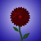 200 - Dahlie