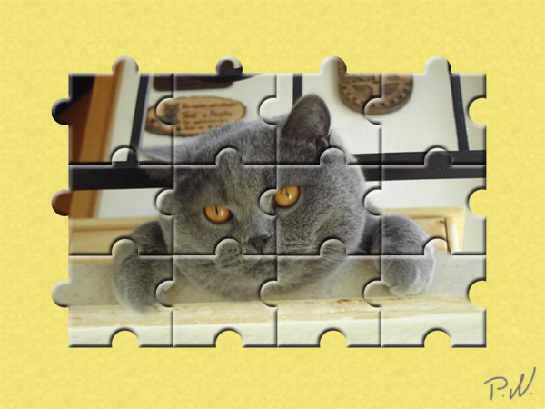 066 - Puzzle